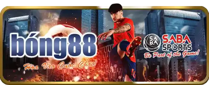Chương trình VIP jun880